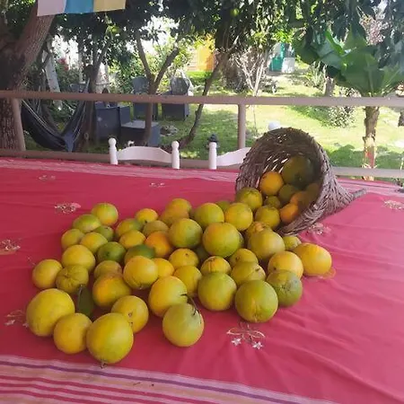 Casa de hóspedes De Tarzán Las Palmas de Gran Canárias