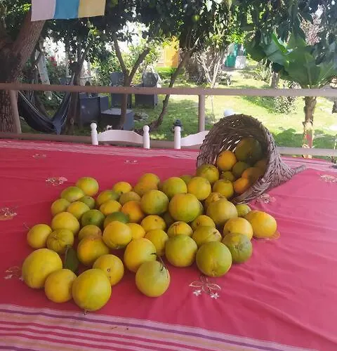 Pensjonat De Tarzan Las Palmas de Gran Canaria