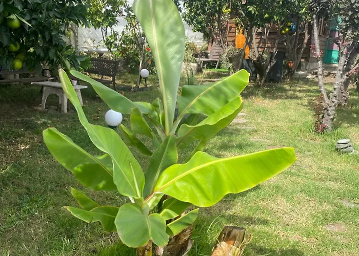 Pensjonat De Tarzan Las Palmas de Gran Canaria